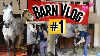 Vlog Day At The Barn Ride Every Stride