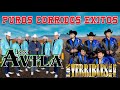 Los Terribles Del Norte , Los Avila  - Puros Corridos Mix