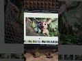 Create AI videos in minutes 😱🎬🔥