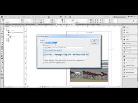 Adobe InDesign CS6
