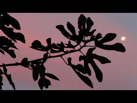 Sirtaki (M.Theodorakis) (remix)