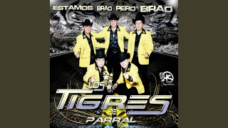 Video thumbnail of "Los Tigres de Parral - Por el Amor a Mi Madre"