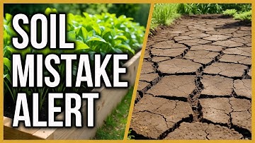 Stop Killing Your Raised Beds! 5 Hidden Soil Mistakes Every Gardener Makes