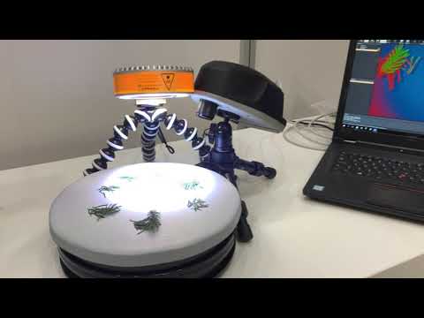 Live demo of spectral image classification with Senop HSC-2 camera