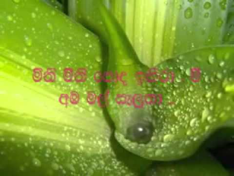 sihil maruthe song sihil maruthe song