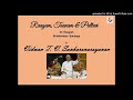 RTP-brundAvana-sArangA - pallavi - B -T V Sankaranarayanan