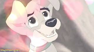 Simba Scamp - Electricity Mep Part For