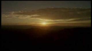 Dp - Adrift