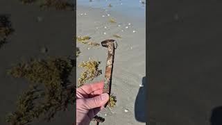 “Dreamed of Treasure… Found Rust Instead 😅⚓”