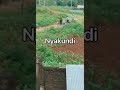 Police Captured On Camera Beating Maseno University Students