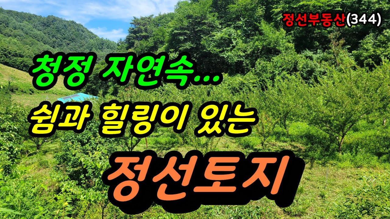 청정 자연속  쉼과 힐링이 있는 정선토지 ⁄ 정선토지박사