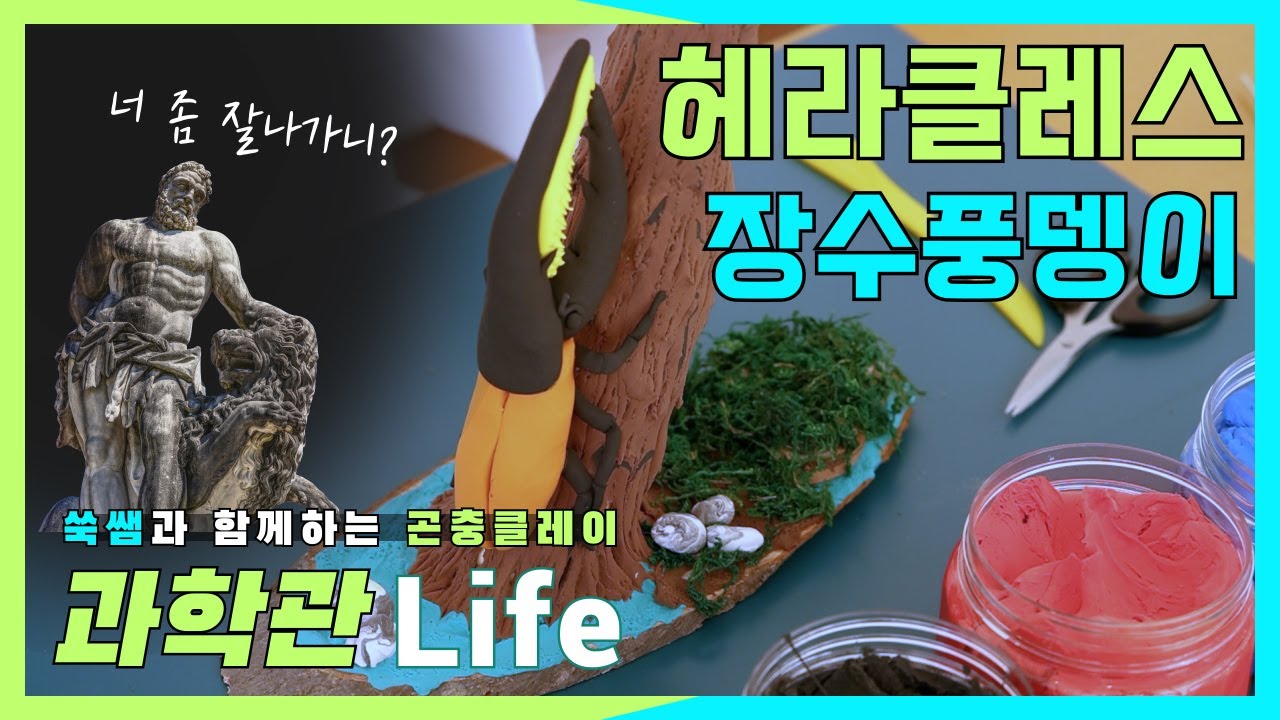 [과학관 Life] 어디까지 해봤니? 헤라클레스 장수 풍뎅이