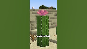 Mojang Officially Made The Desert The BEST Biome...