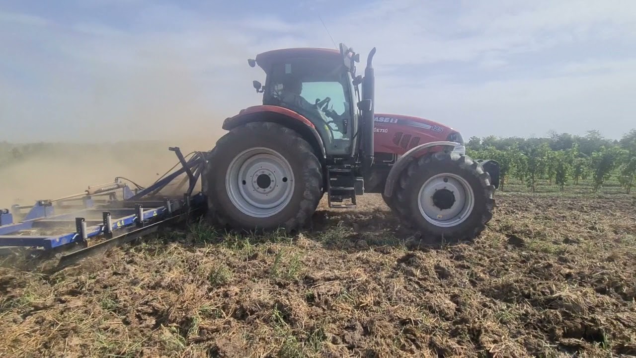 Drljanje tanjiranog zemljišta CASE IH MAXXUM 125 i Tupanjac 6.1 m teška drljača
