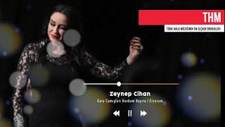 Zeynep Cihan - Gafil Gezme Şaşkın Resimi