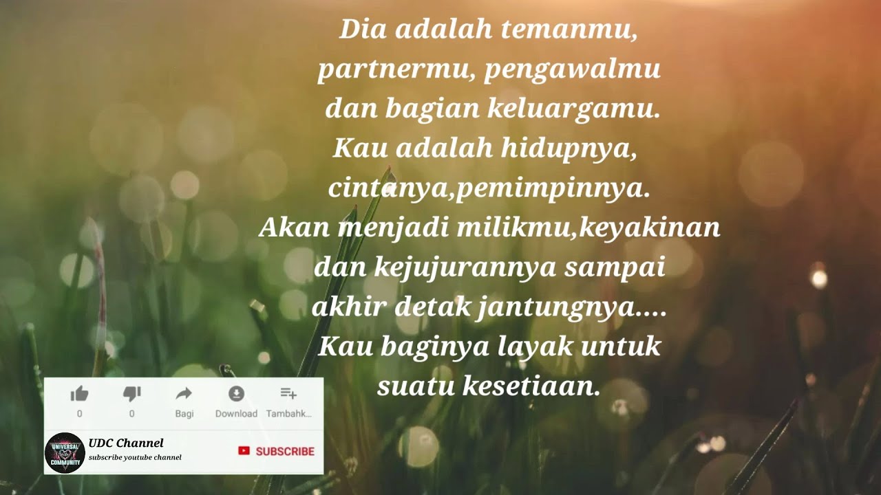 Album anak-anak anjingnya with ownernya 