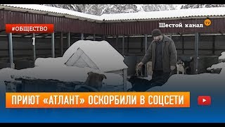 Приют «Атлант» оскорбили в соцсети Приют «Атлант» оскорбили в соцсети