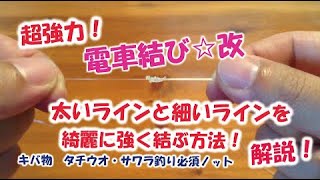 電車結び 改 太いラインと細いラインを強く結ぶ方法 タチウオジギング 太刀魚 サワラ マグロ などキバ物釣りの釣果アップに Youtube