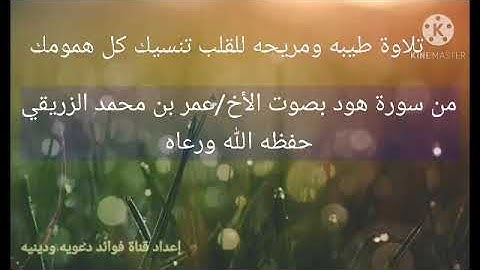 تلاوة عمر الزريقي من سورة هود