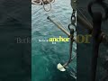 SACRED ODE | Anchored