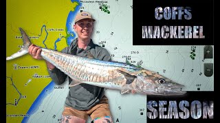 Coffs Mackerel Season