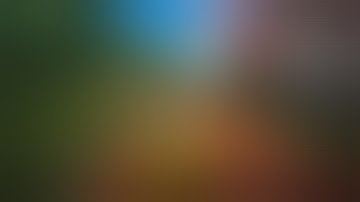 Real Rally Gameplay (Game Cradit GRAYPOW ) ANDROID-iOS || ULTRA HIGH GRAPHIC GAMES