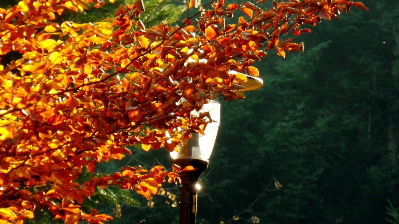 RYMANÓW ZDRÓJ - jesienny zwiad okolic