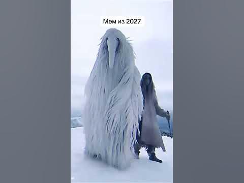 Мем 2027 года белая