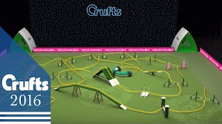 Agility - International Invitational - Course | Crufts 2016