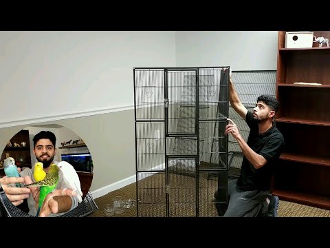قفص حديد لطيور الكوكتيل الكروان منير ليث