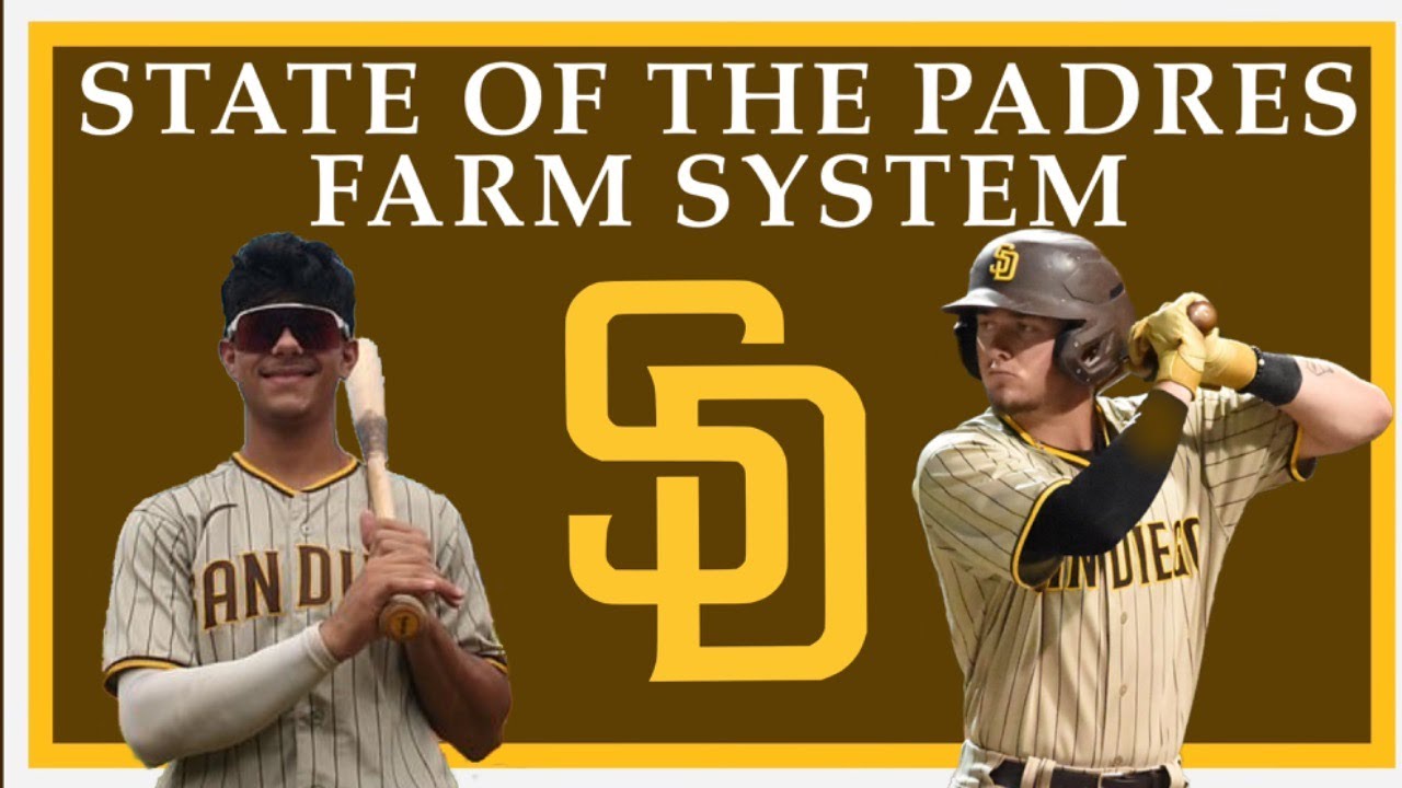State of the Padres Farm System