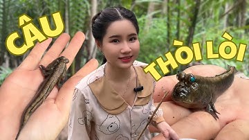 Săn Bắt và Câu Cá Thòi Lòi lên bờ quá hấp dẫn | Kiều Thơ vlog