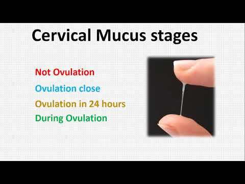 calculate-ovulation-using-cervical-mucus-(white-discharge)-to-get-pregnant---tamil