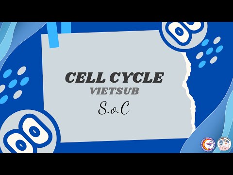 Video: Quá trình cytokinesis trong tế bào thực vật là gì?