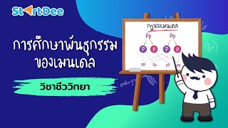 วิชาชีววิทยา ม.4 | การศึกษาพันธุกรรมของเมนเดล