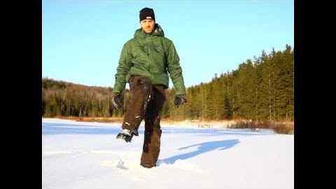 Exuberant Animal Short Form by Mocean365