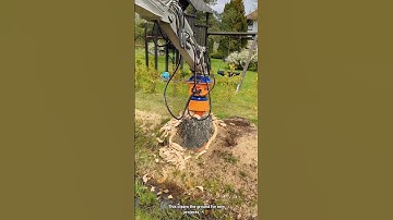 Construction Machine Digging and Removing Tree Roots for Site Preparation