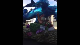 Papegaaitje Leef Je Nog-Cv De Kwarre 2012-We Zitte In De Neste