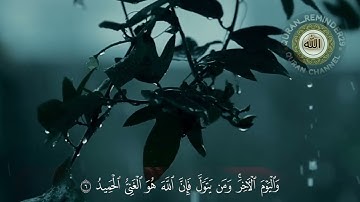 سورة الممتحنة كاملة للقارئ محمد الفقيه تلاوة خاشعة