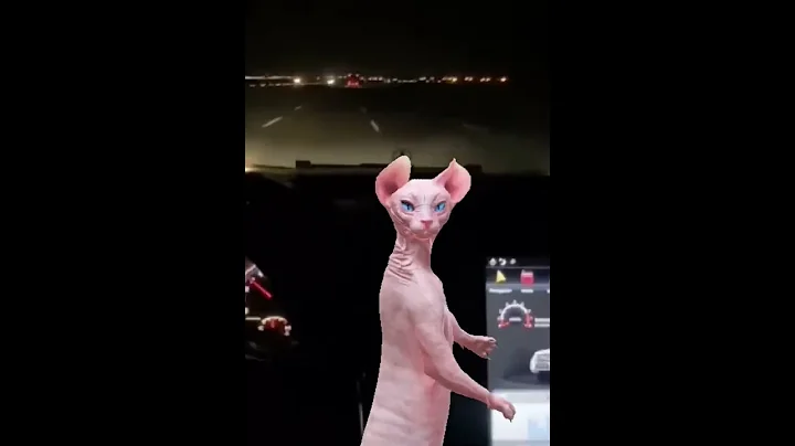Watch the video about Wow #cat #lol #crazy #funny #catlover #beautiful #sphynx #explore #enjoy