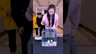 Egg Drop Challenge In Water, So Exciting Game Game