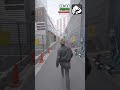 渋谷でリアル龍が如くやってみた#shorts #gta #sega