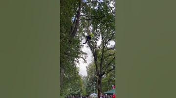 How to run up ropes. #ascent #treeclimber #arborist #ropeaccess #arbortec