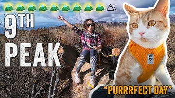 Hiking and Morse Code Practice with my Cat - Beginner CW for SOTA (ft. Ara N6ARA and Ormoo )