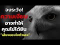 เริ่มฟังใจตัวเองจิตวิทยาเพื่อการเติบโตพัฒนาตนเอง Podcast ฟังสบายก่อนนอน | Hedwig Podcast EP.1