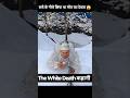 बर्फ के नीचे छिपा था मौत का देवता 😱 The White Death की कहानी #shorts #story
