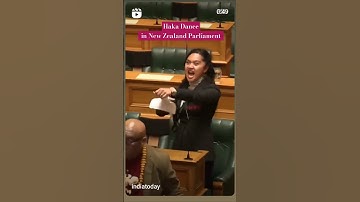 Haka Dance - New Zealand MP #hakadance #newzealand #parliament #viralshorts #shorts