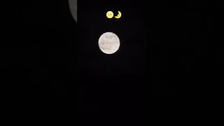 silent moon... 🌝🌛 #song #hindisong #bollywood #music #trending #musicgenre