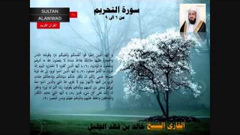 ماتيسر من سورة التحريم( خالد بن فهد الجليل )