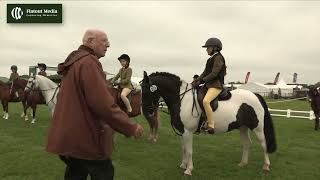 Balmoral Show